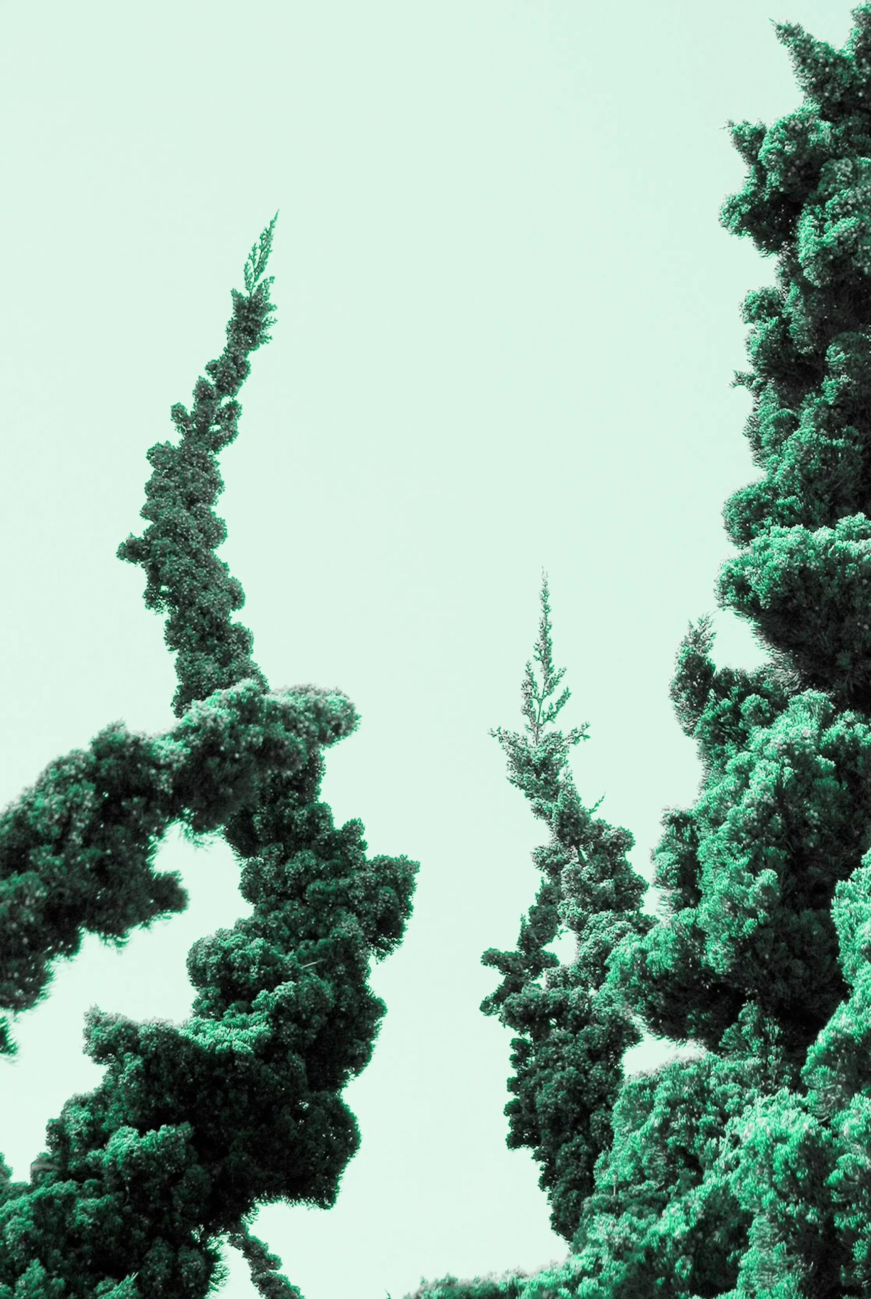 Chez Alpine Parfum d'Ambiance 100ML (glass bottle)